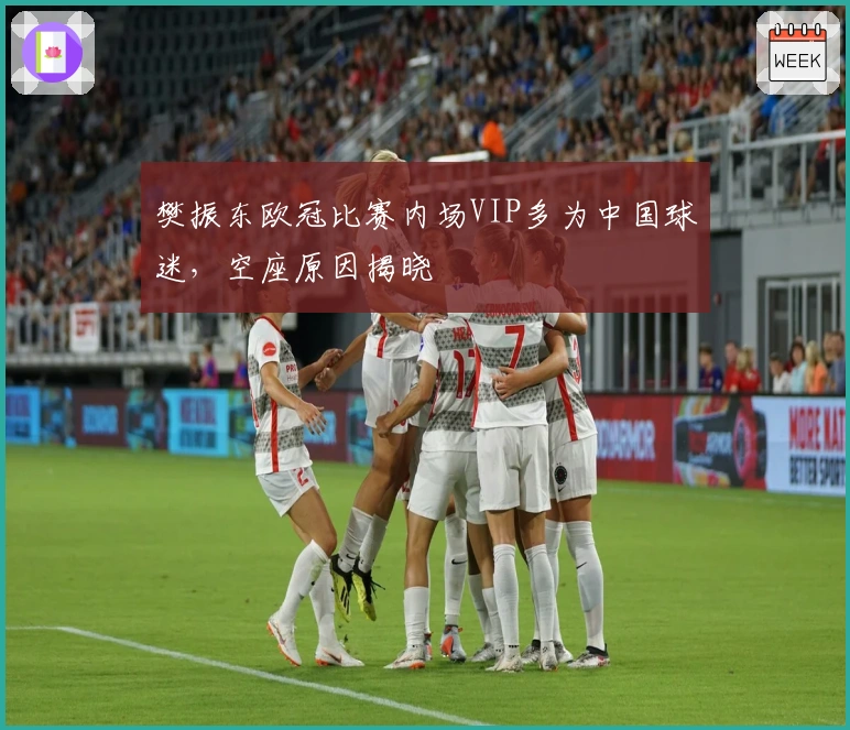 樊振东欧冠比赛内场VIP多为中国球迷，空座原因揭晓